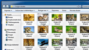 Faststone Image Viewer
