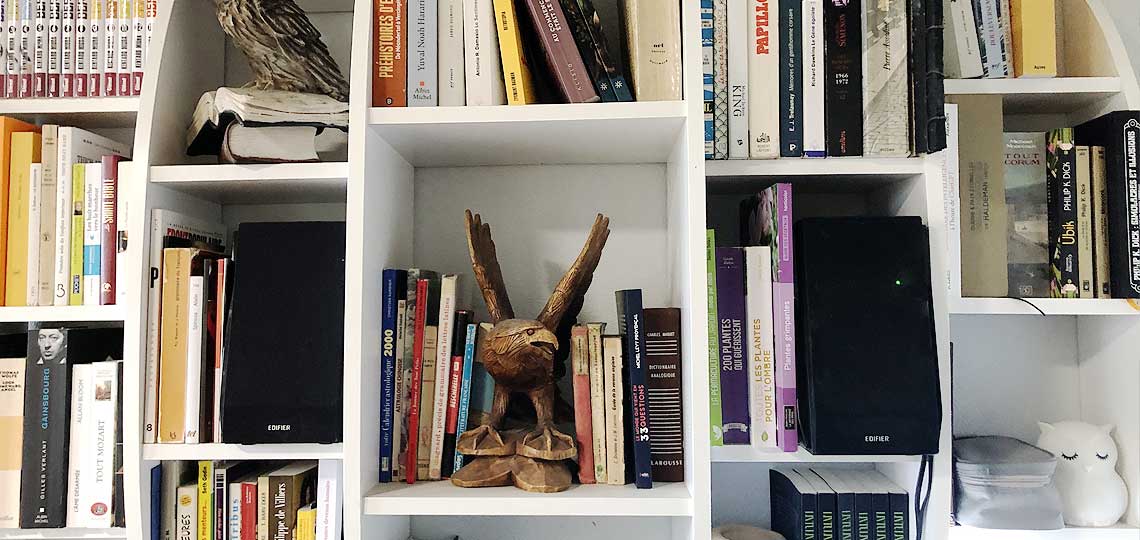 Étagère avec livres et sculpture en bois.