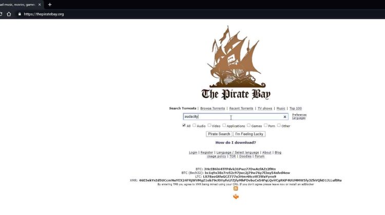 The pirate bays