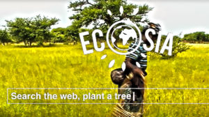 Planter un arbre avec Ecosia