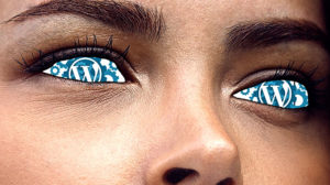 Sauvegarde Wordpress (femme geek)