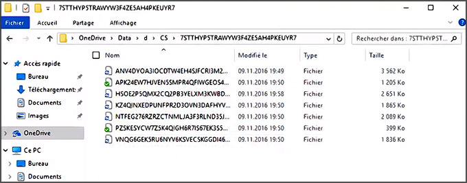 Fichiers chiffrés par Cryptomator