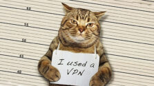 chat en prison pour avoir utilise un vpn