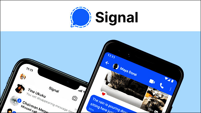 Signal site officiel