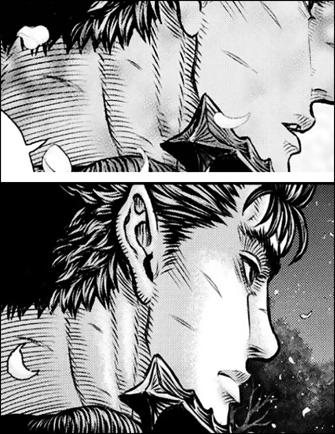 differences d ombrage berserk