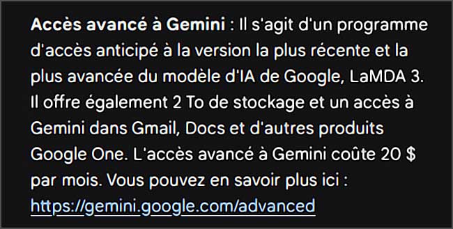 Accès anticipé au programme Gemini de Google IA.