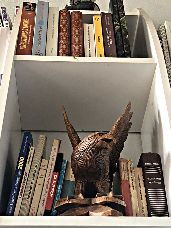 livres sur etagere 2