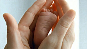 petits pieds de bebe