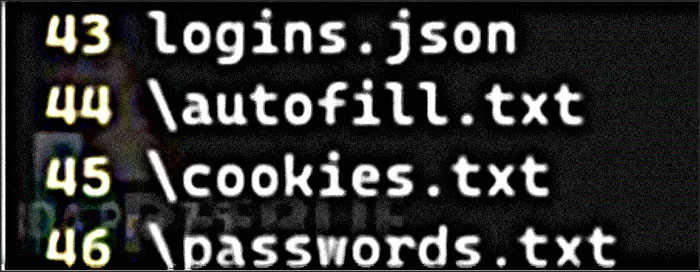 raccoonv2 vol donnees