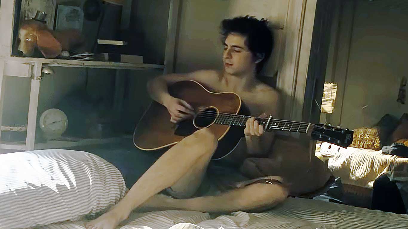 un parfait inconnu timothee chalamet