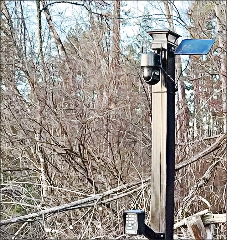 camera surveillance jardin