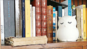 bibliotheque livres