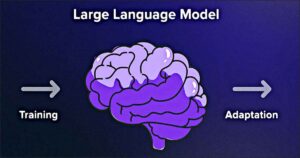 llm adapte cerveau