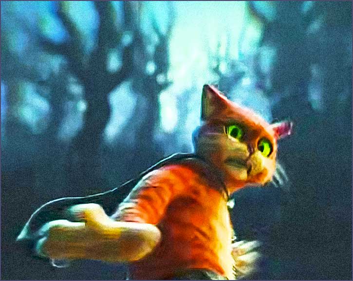 le chat potte 2 peur