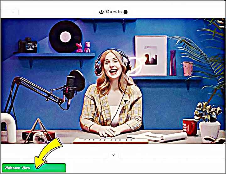 streameuse webcam